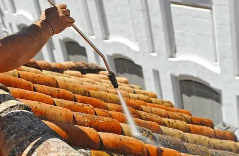 Nettoyage de toitures - Patay